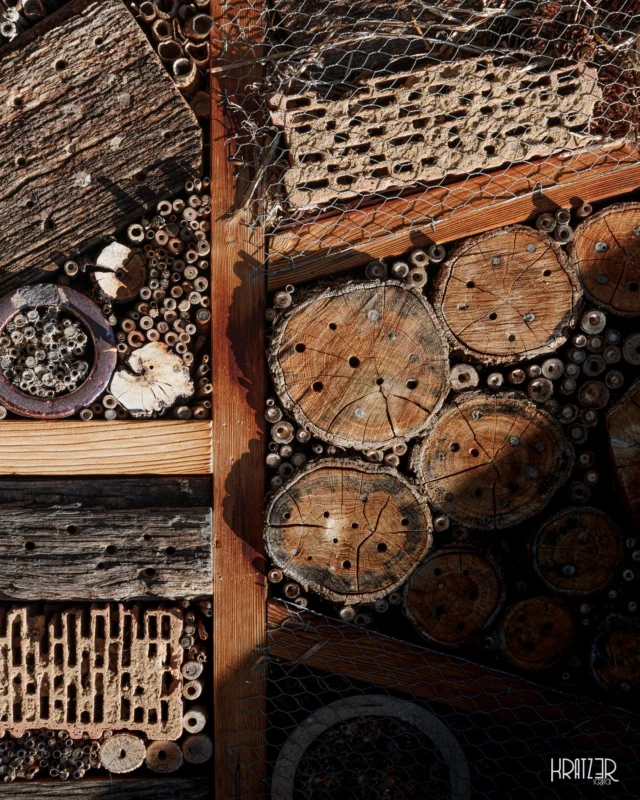 Herberge der Einsicht – Diese Architektur der Korrektur ist ein Zeugnis später Einsicht. Ich bin nun bekanntlich kein großer Umweltaktivist, aber wie Widersprüchlich der Mensch ist zeigt sich auch gut in diesem Beispiel. Es wird erst gehandelt, wenn es beinahe zu spät ist – Zunächst sorgte er für den Habitatverlust dieser kleinen unscheinbaren Kreaturen und versucht nun reaktiv der Zerstörung entgegenzuwirken. 

So erschafft der Mensch diese Wiedergutmachung: Eine Mikro-Architektur (Holz, Ziegel, Gitter) mit Hilfe der organischen Geometrie der Natur. Die wertvollsten Konstruktionen sind jedoch nicht die, die wir mühsam neu errichten, um zu korrigieren.

Die eigentliche Mahnung hier: Hätten wir unsere Achtsamkeit und Aufmerksamkeit auf die Natur gerichtet, hätte diese Architektur nie errichtet werden müssen.
 
#HerbergeDerEinsicht #Insektenhotel #Natur #kritik #Umweltkritik #Achtsamkeit #Organisch #Geometrie #Wiedergutmachung #Künstlerisch #Kunst #Fotografie #Kratz3r