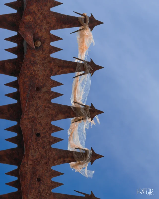Verwundeter Kreislauf – Die rostigen, aggressiven Stacheln sind gezeichnet vom langsamen Verfall. Trotz dass sie selbst vom Mensch erschaffen wurden, zeigen sie mit ihrer harten Struktur eine klare eindringliche Abweisung gegenüber dem was sich verfangen hat – ein tragisches Stück Konsum, eine scheinbar weiche, künstliche Materie.

Das Metall wird irgendwann vergehen und zur Erde zurückkehren, doch die Beständigkeit des Plastiks bleibt – auch wenn es sich mit Zeit befreien kann. Es schädigt unsere Umwelt über Jahrhunderte. Es ist die Wunde, die der Mensch dem organischen Kreislauf hinterlässt, auch wenn er selbst schon nicht mehr existiert.

Wann fangen wir an zu begreifen, dass unser Sein kostbar und endlich ist, aber unser Abfall nicht unvergänglich sein sollte?

#Umweltkritik #Plastikmüll #AggressiveTextur #RostUndPlastik #OrganischerKreislauf #KünstlerischeFotografie #Kratz3r