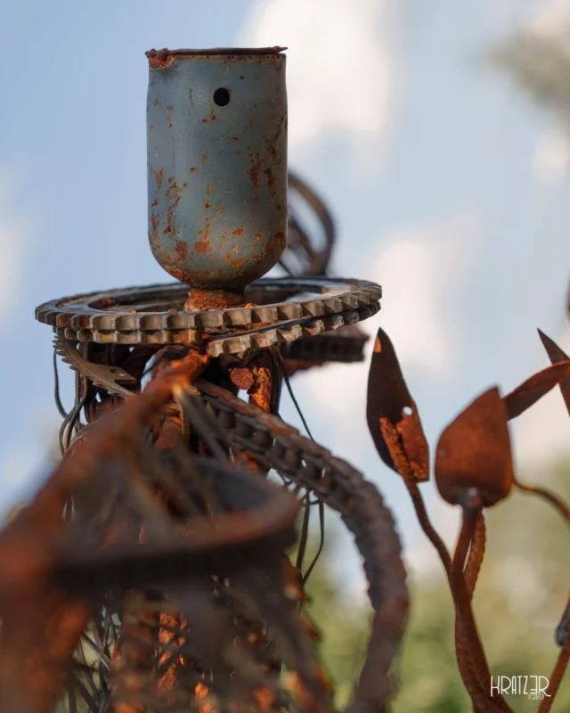 Welkes Eisenherz – Die Zeit, in der die meisten messen, zwingt uns zur Demut und offenbart die wahre Bedeutungslosigkeit des menschgemachten Strebens. Diese rohe konstruierte Textur einer organisch welken Blume ist gefangen im einem Moment des Übergangs. Die Essenz der Zeit verschlingt Metal, welches einst für Beständigkeit stand.

Der Verfall ist hier die ehrlichste Aussage. Er zeigt, dass selbst die stählernen Symbole unserer Jagd (das Streben nach dem Gipfel) letztendlich dem organischen Kreislauf unterliegen. Das einzige, was bleibt, ist die Vergänglichkeit.

#Eisenherz #Vergänglichkeit #Rost #Ästhetik #Organisch #Zerfall #TulpeAusEisen #IndustriellePoesie #Zeit #Materie #Künstlerisch #Fotografie #Kratz3r #künstler #poesie #timetravel #zeitreise