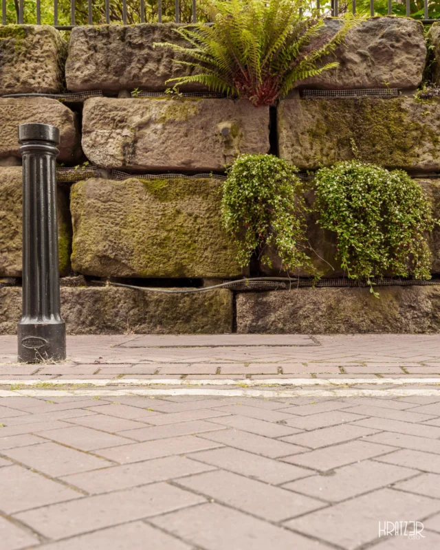 Wacht des Zweifels – Ich stehe hier. Verharre eisern der Dinge. Meine Existenz ist klar definiert: Ich soll Grenzen ziehen und die Ordnung erzwingen. Du der Betrachter hast vielleicht deine eigene Vertikale gefunden, aber ich bin der unverrückbare, physische Punkt. Ich kontrolliere den Raum, den der mensch mir gegeben hat. Ich soll sowohl Organisches als auch Materielles abwehren.

Aber siehst du das?! Schau genau hin: Dieses weiche, grüne Leben, wie es der Mauer schmeichelt. Dies soll mein Feind sein?! So fühlt es sich für mich nicht an. Ich kenne nichts Schöneres, es ist die einzige Wärme, der ich bisher begegnet bin. Ich nenne sie Geborgenheit.

Diese Wärme stellt meine ganze Existenz in Frage. Sie lässt mich daran zweifeln, ob meine eigentliche Funktion überhaupt Sinn macht. 

Möchtest du mir verraten, welche starren Grenzen du aufrecht hältst, obwohl dein Innerstes längst nach Geborgenheit verlangt?

#WachtDesZweifels #Poller #Geborgenheit #Existenziell #Krise #UrbanerKontrast #VierteWand #Künstlerisch #Kunst #Fotografie #Kratz3r #art #Struktur #Wächter