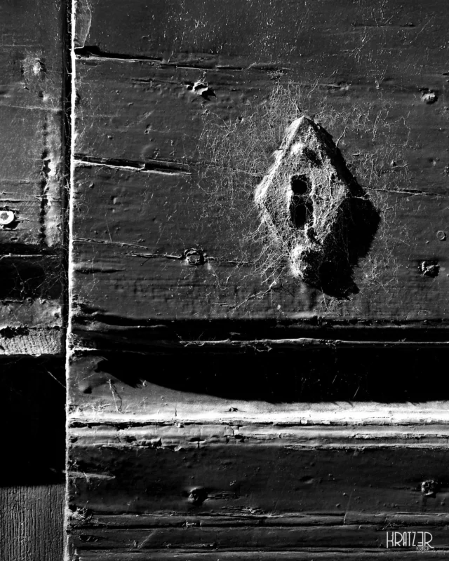 Verborgene Existenz – Im Rausch der Rastlosigkeit, weben Spinnen ungesehen unsichtbare Linien, die das Vergangene an das Gegenwärtige kleben. Eine geduldige Kunst, die wir im Lärm der Moderne übersehen und sich im Staub des Vergessens versteckt. 

Dieses filigranere Spinnennetz offenbart, dass die wertvollste Existenz auch die sein kann, die im Verborgenen wirkt. 

#Verborgen #existenz #GeometrieDerStille #Spinnweben #FiligraneKunst #SchwarzWeissDetail #Vernachlässigung #Künstlerisch #Kunst #Fotografie #Kratz3r #Art #artist